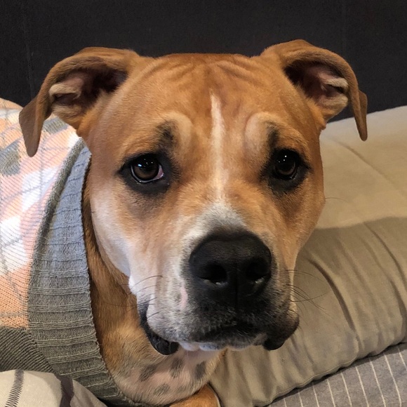 Meet your Posher, Lisa - Picture 1 of 1